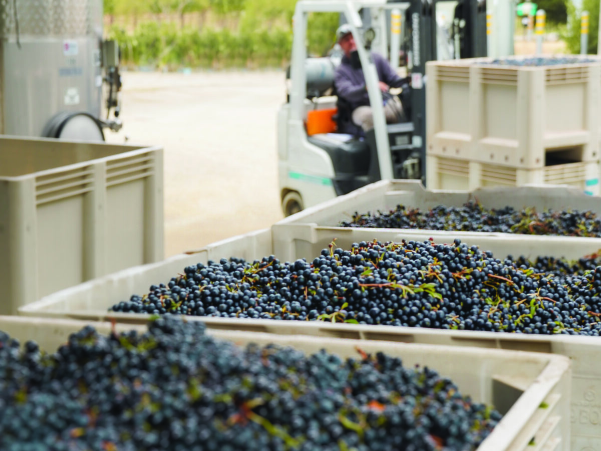 2026 Fall Wine Club Pick-Up Party