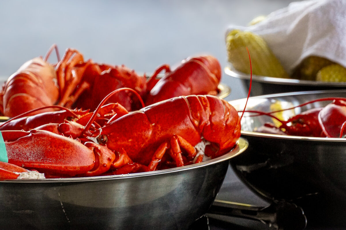 Lobster Boil